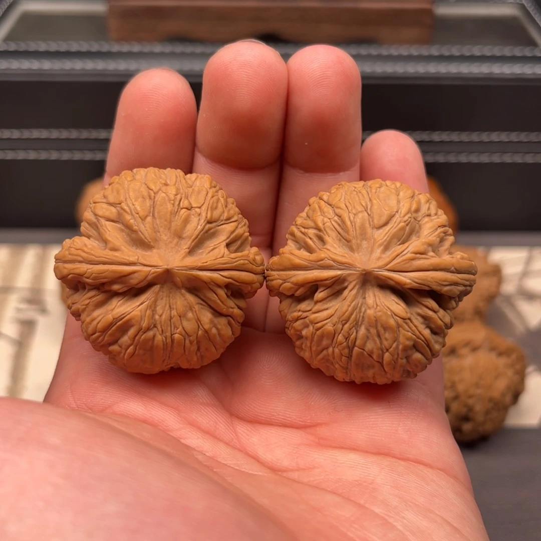 文玩核桃吊坠40蛟龙