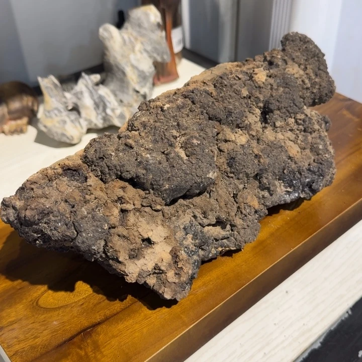 鸡翅木天*崖柏啊阿啊