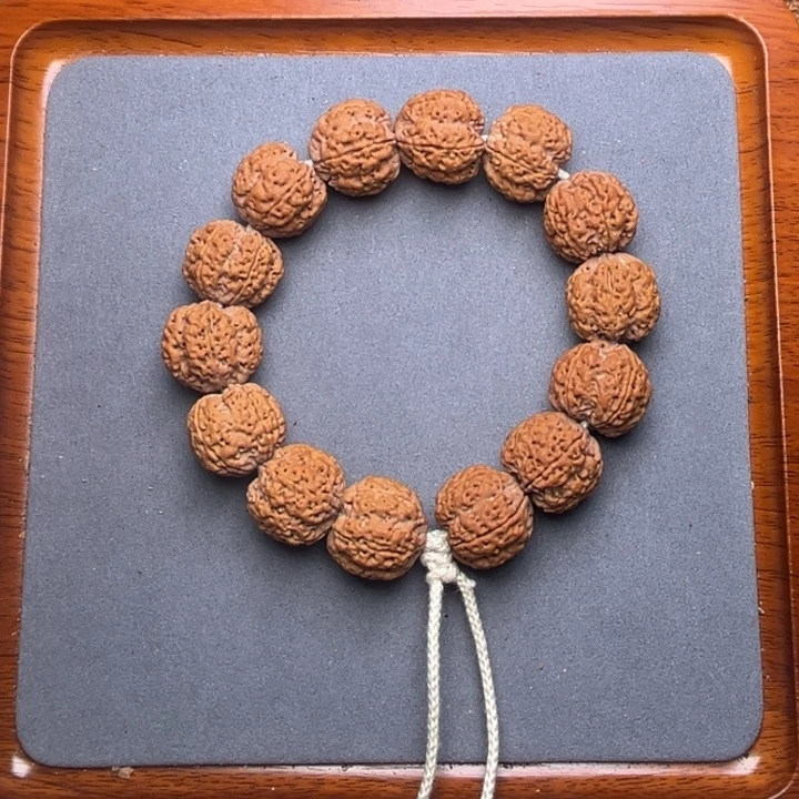 11号金刚菩提蜂王梅花20