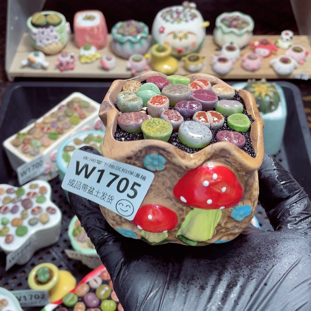 夜间零下地区拍保温箱w1705