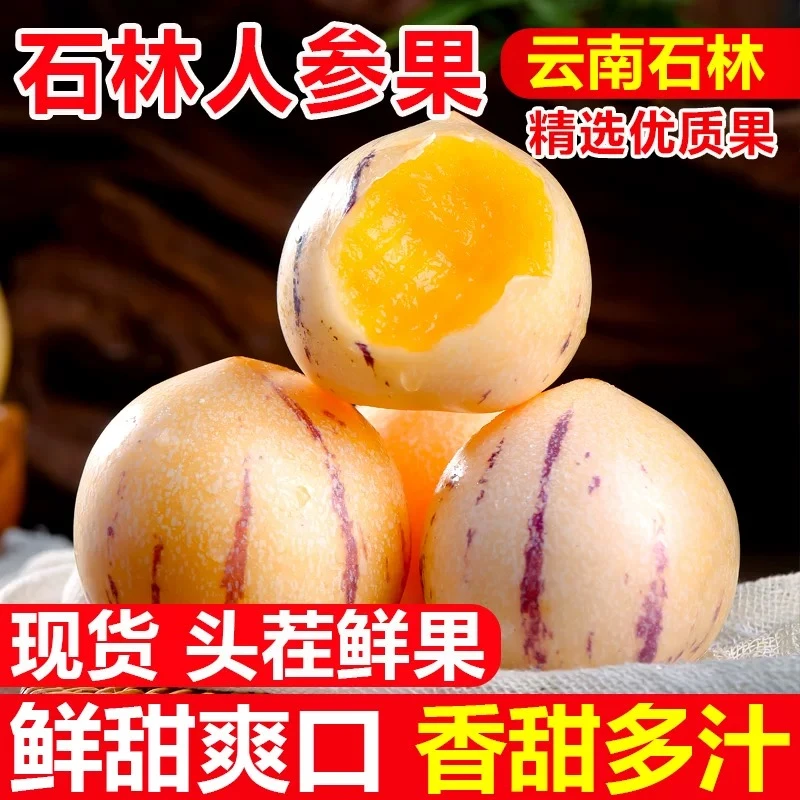 【商超品质】甄汇优 d云南石林树熟人参果皮薄肉厚爆汁清甜圆果新鲜