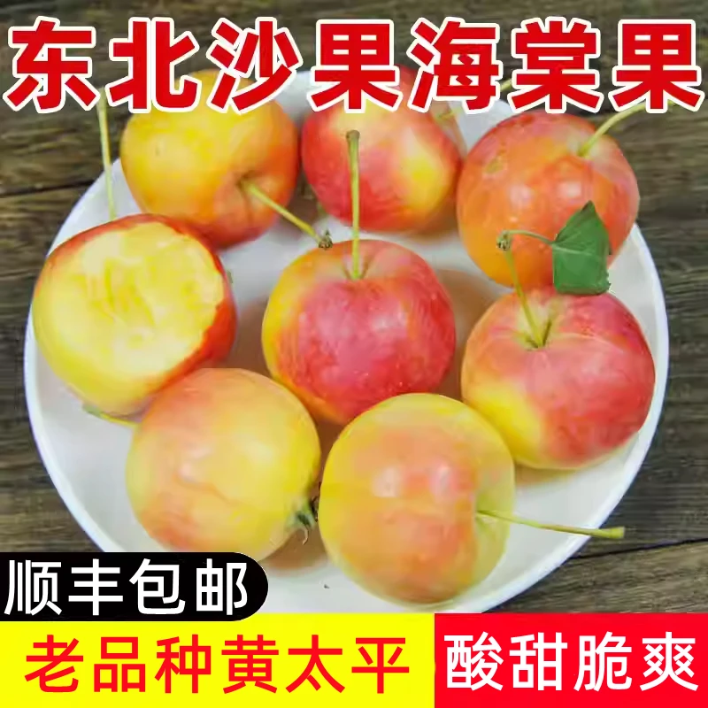 顺丰发货正宗东北老品种黄太平沙果新鲜孕妇水果非鸡心果非K9苹果