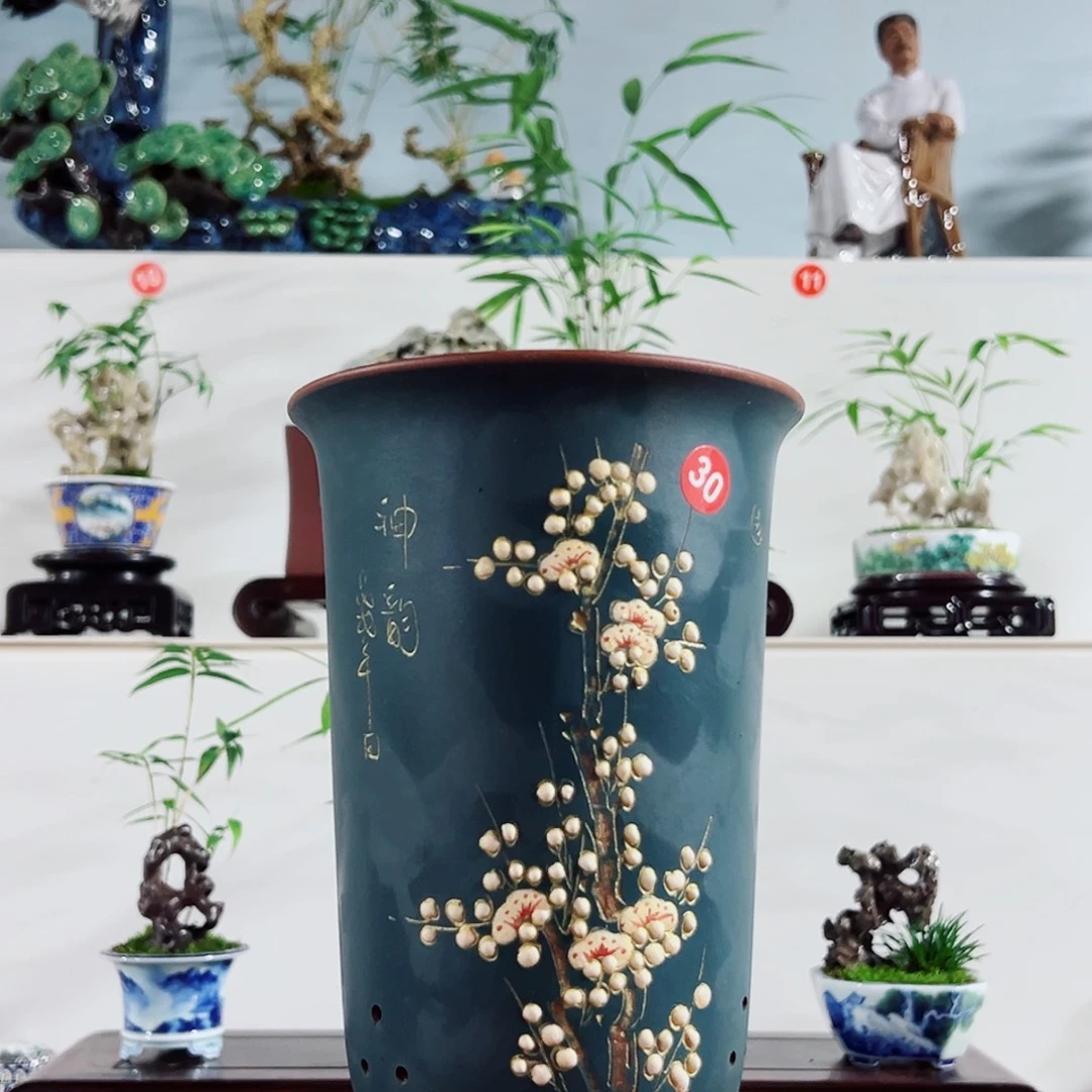无***为无花朵盆景，凤尾竹，与玲珑