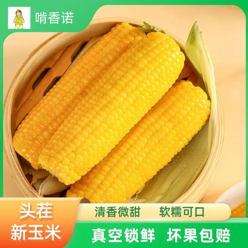 【主播推荐】东北新鲜黄糯玉米粗粮代餐真空包装200g×8根