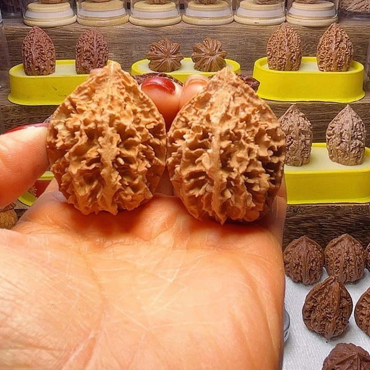 核桃2号车放漏漏咯