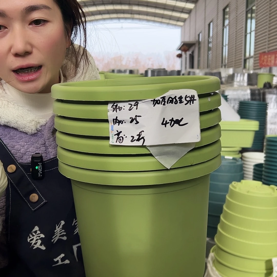 四季盆5#果绿6个无托