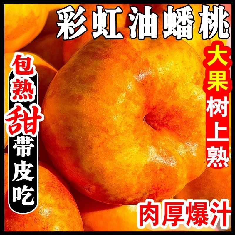 【黄金彩虹蟠桃】正宗山东蒙阴紫霞油蟠桃彩虹油蟠桃芒果蟠桃新鲜夏日尝鲜脆甜多汁油桃当季新鲜水果桃子山东省