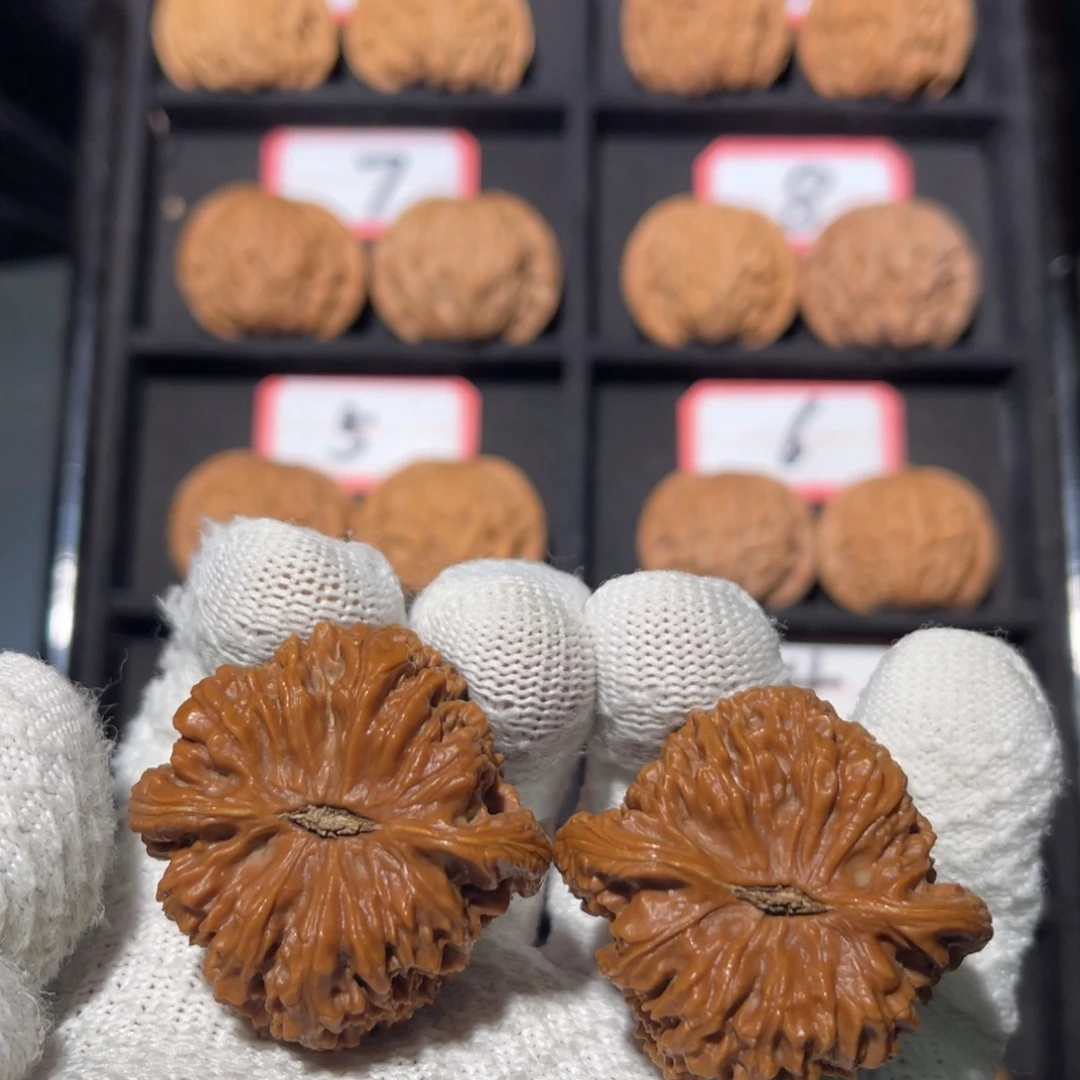 【***】文玩核桃吊坠08秦皇岛山地果全品