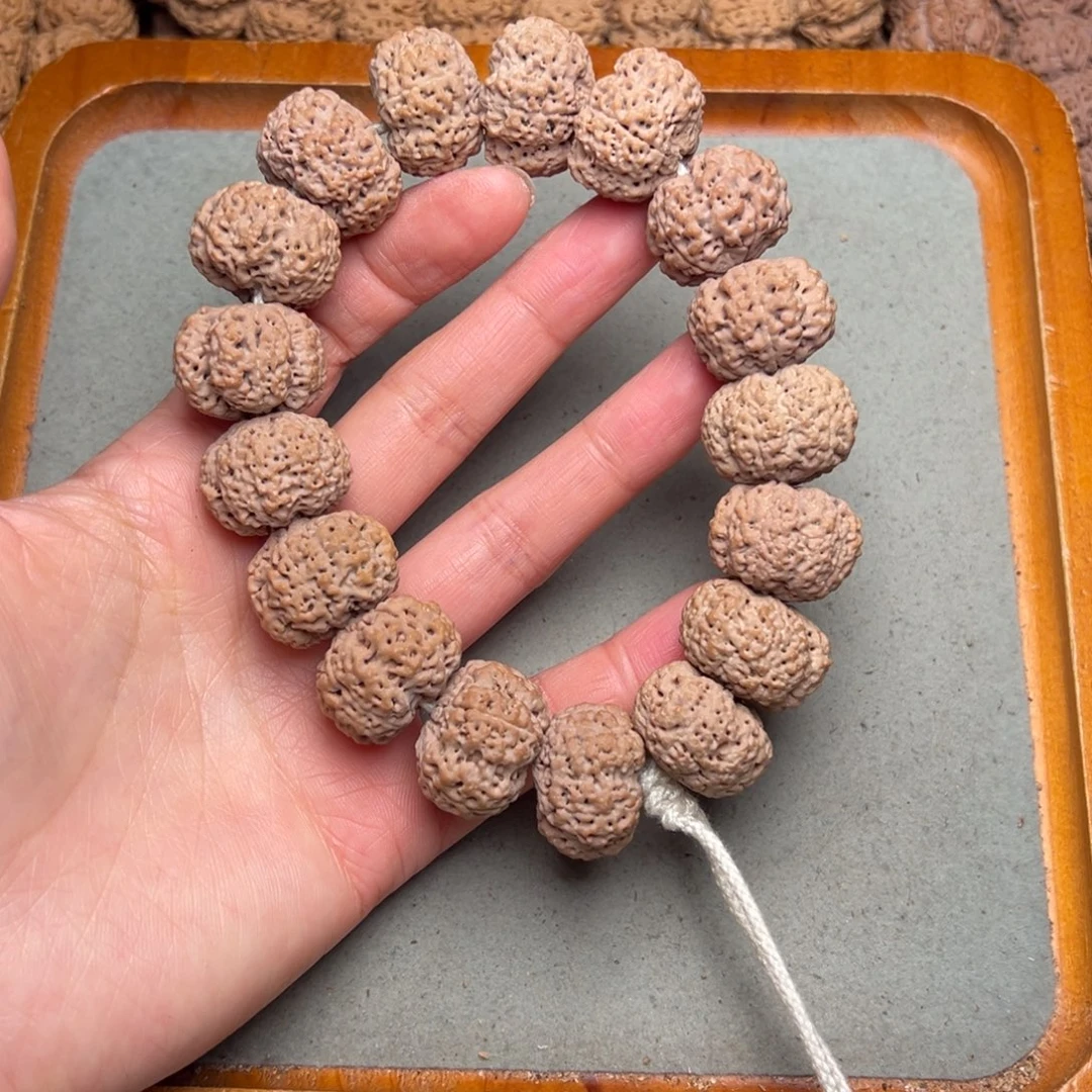 菩提28号金刚菩提菠萝蜜夹板22