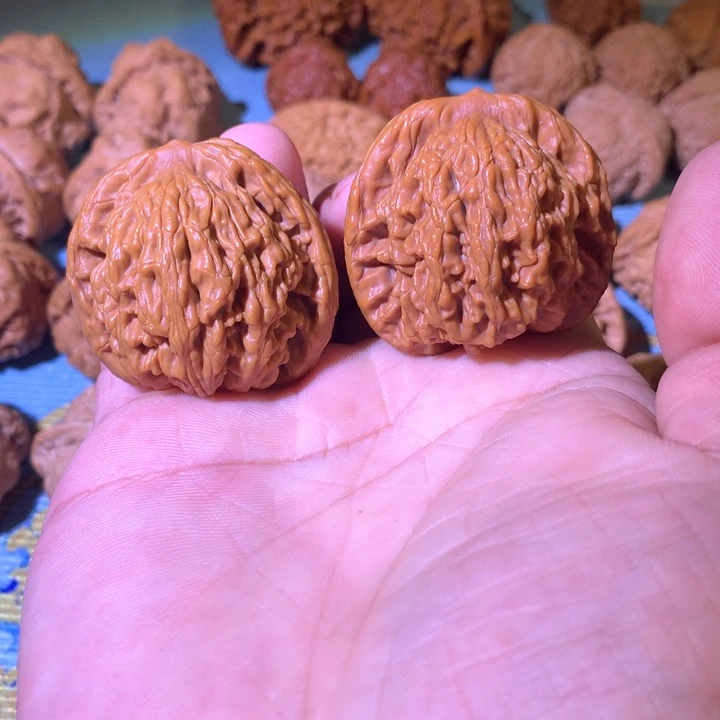 陆**.摆件摆件摆件摆件摆件