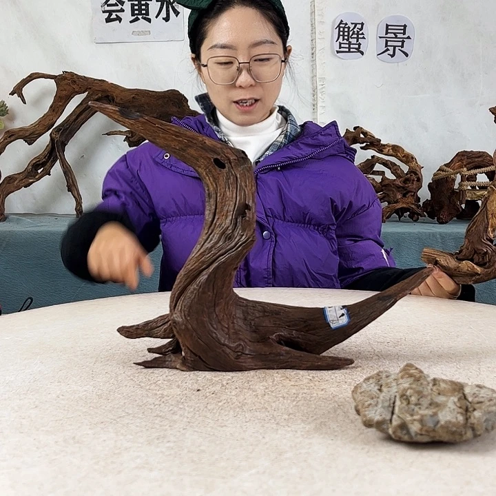 沉木造景爬宠造景