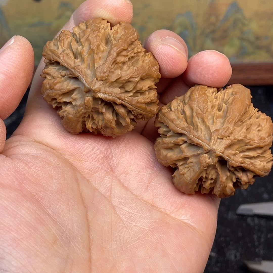 虾***高核桃7号链接777777