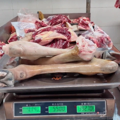 【闪购商品】冷冻保存30天包装河北省