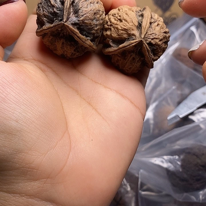 文玩核桃把件    53