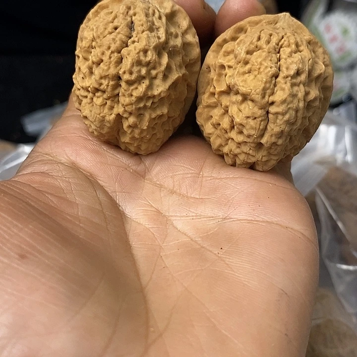 核桃云南铁核桃基地73