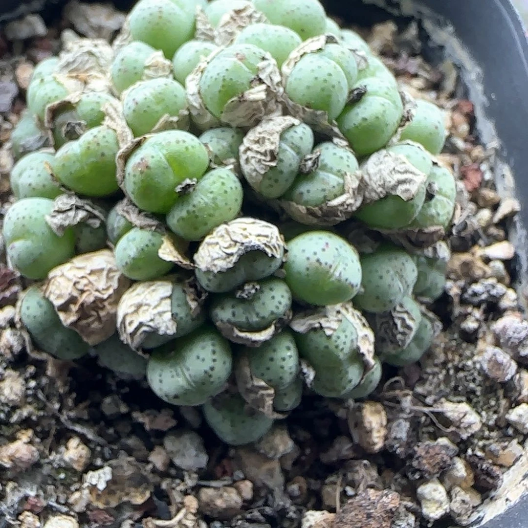 哈哈哈哈哈哈家44176