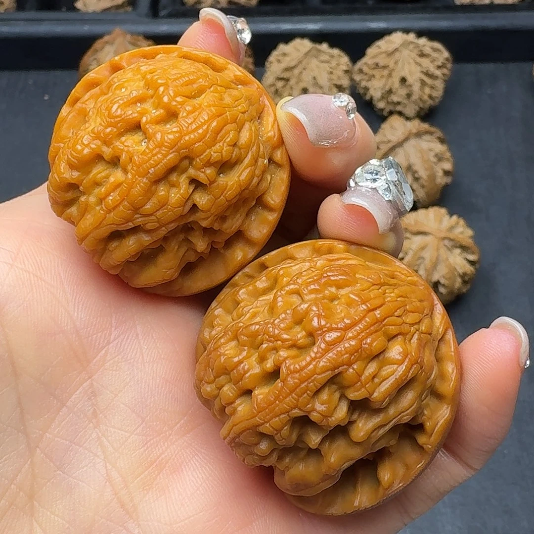 桃木突突突突突突