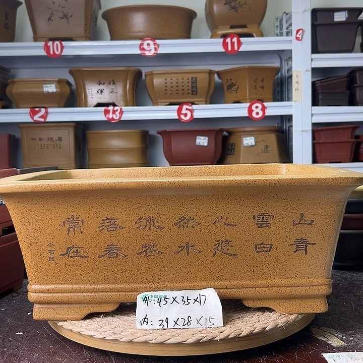 紫砂花盆蛇年大吉