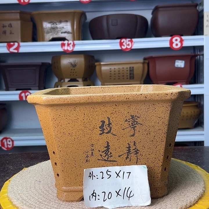花盆紫砂蛇年大吉