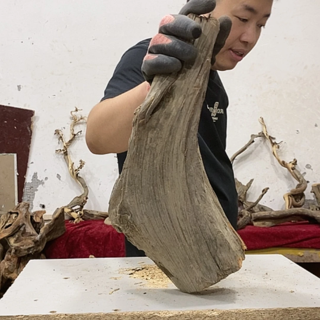 【闪购商品】柏木随*我们都是好孩子