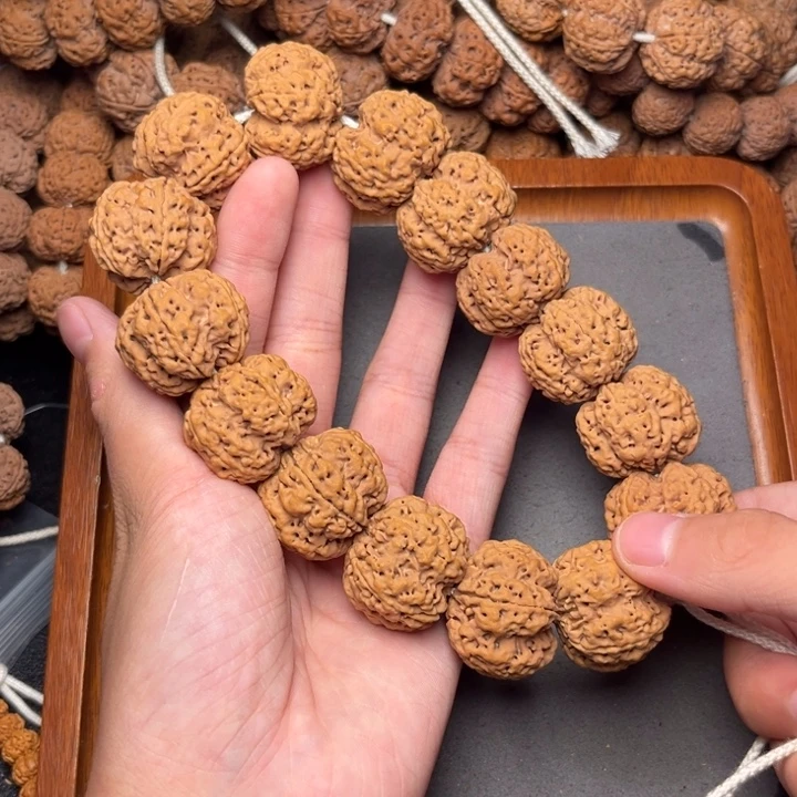 5号尼泊尔大金刚27粗筋梅花五龙