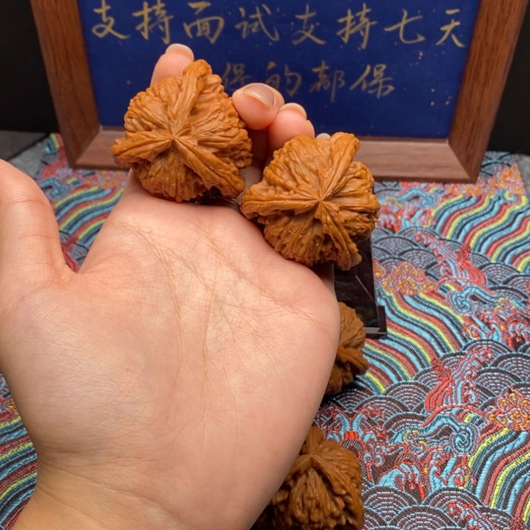 【闪购商品】遇*白狮