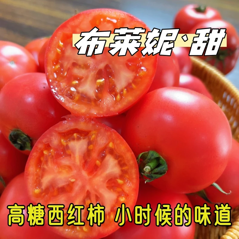 【张书记专属】布莱妮高口感西红柿番茄新鲜采摘自然成熟饱满多汁