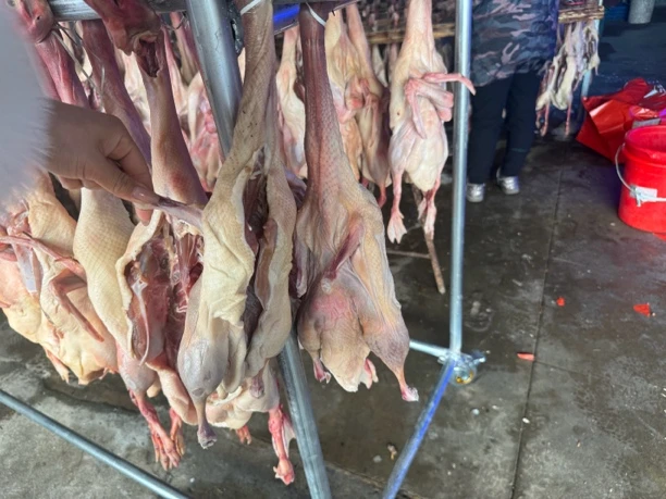 3鸭1鹅一组，89.99