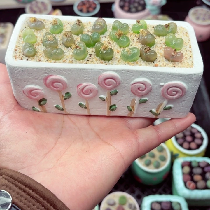 530零下地区记得拍保温箱