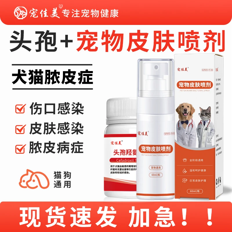 宠物猫狗皮肤感染伤口感染脓皮症皮肤掉毛皮屑护理宠物皮肤喷剂