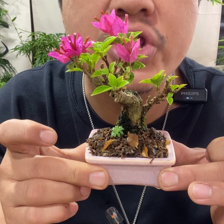 以实际为准退款拉黑拉黑21