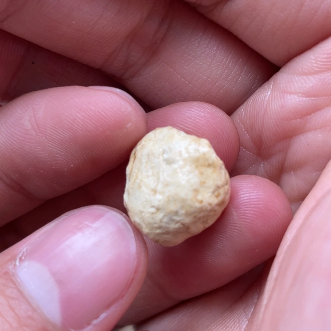 定制琥珀未镶嵌天然蜜蜡