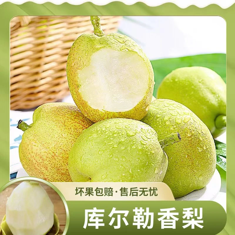 新疆库尔勒香梨4.2-4.4斤脆甜新鲜 陕西仓发