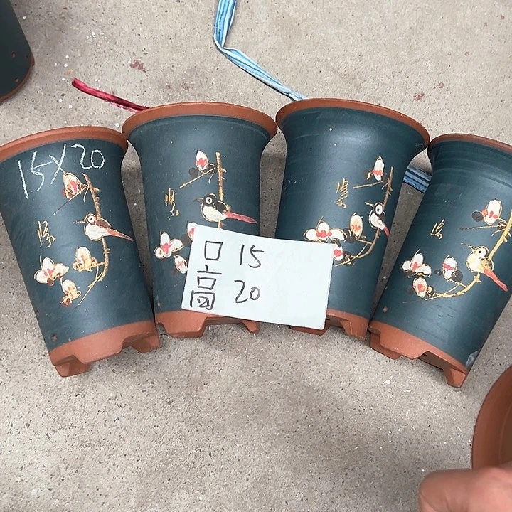 紫砂紫砂紫砂紫砂紫砂