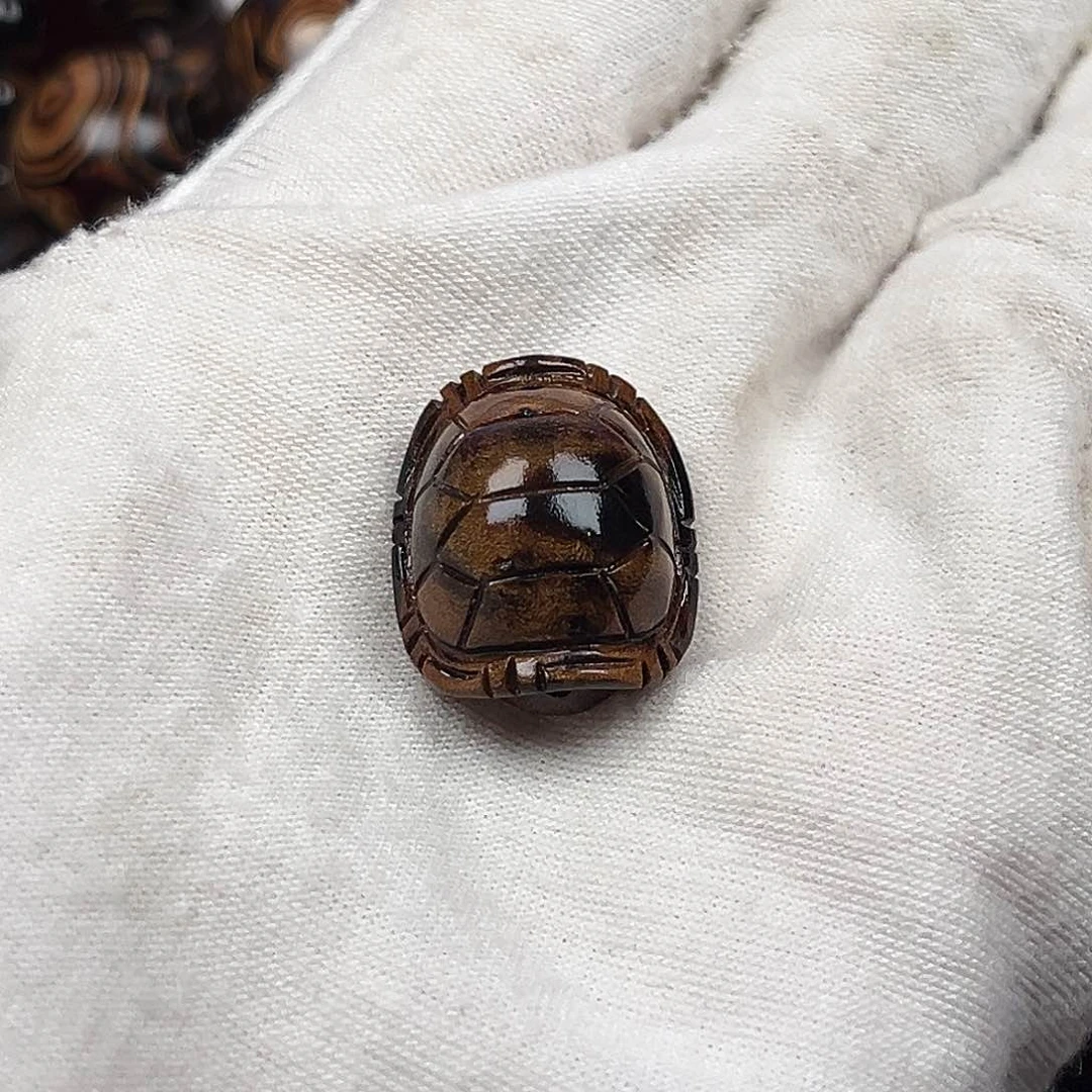 5*1天然海柳精品小富贾