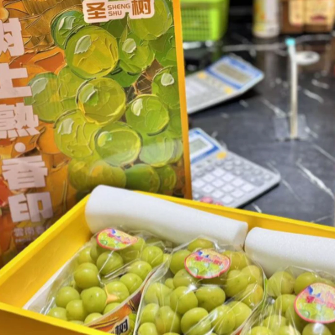 圣树树上熟晴王一件3串