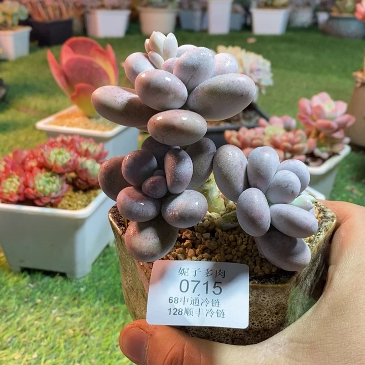 0715啊啊啊啊啊啊啊啊啊啊