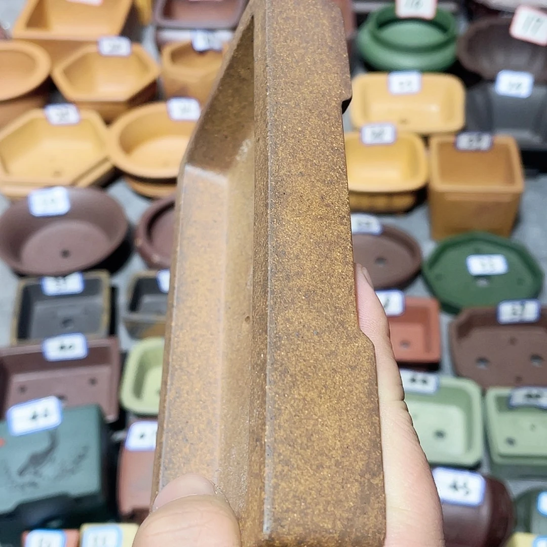 紫砂小盆16*7.5*1.5