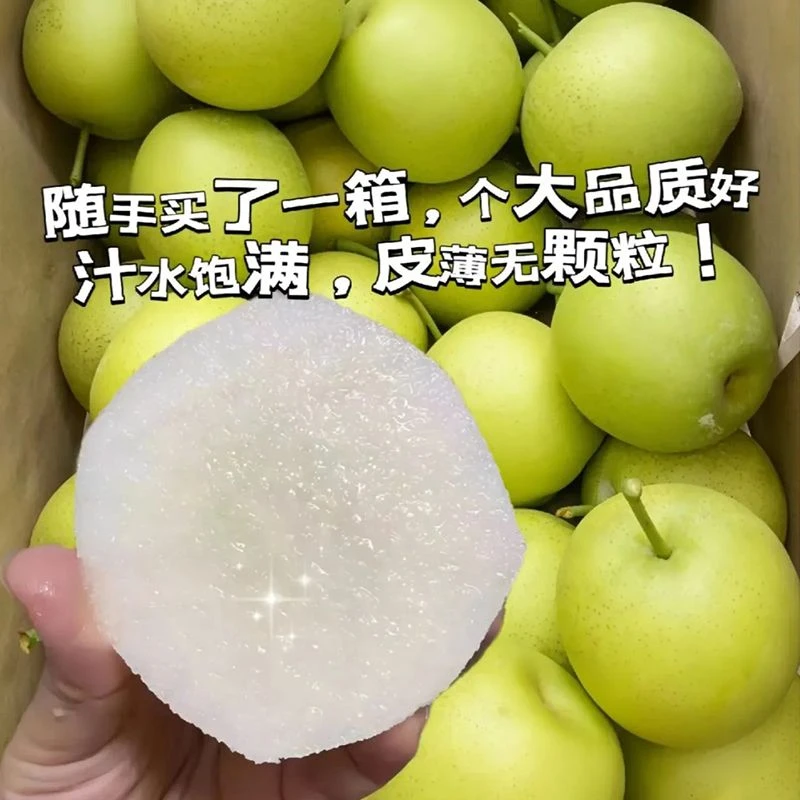 【现摘现发】正宗砀山青皮蜜梨翠冠梨苏翠一号皇冠梨皮薄酥脆多汁