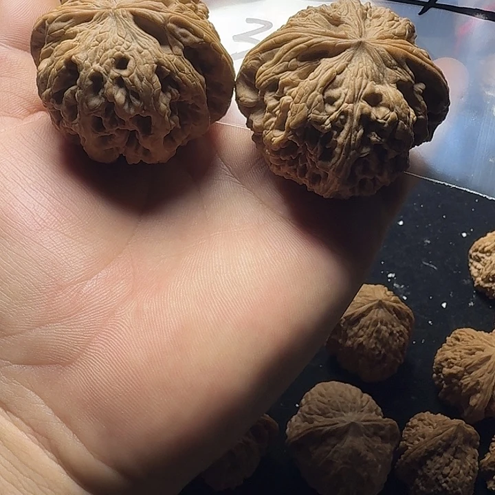 L***g52大粗筋配对完美