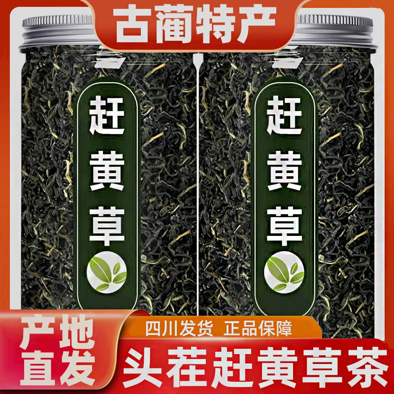 正品四川古蔺头茬赶黄草茶干净干货凉煮水泡水喝适配枸杞决明子