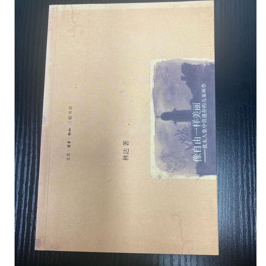 像自由一样美丽 林达著