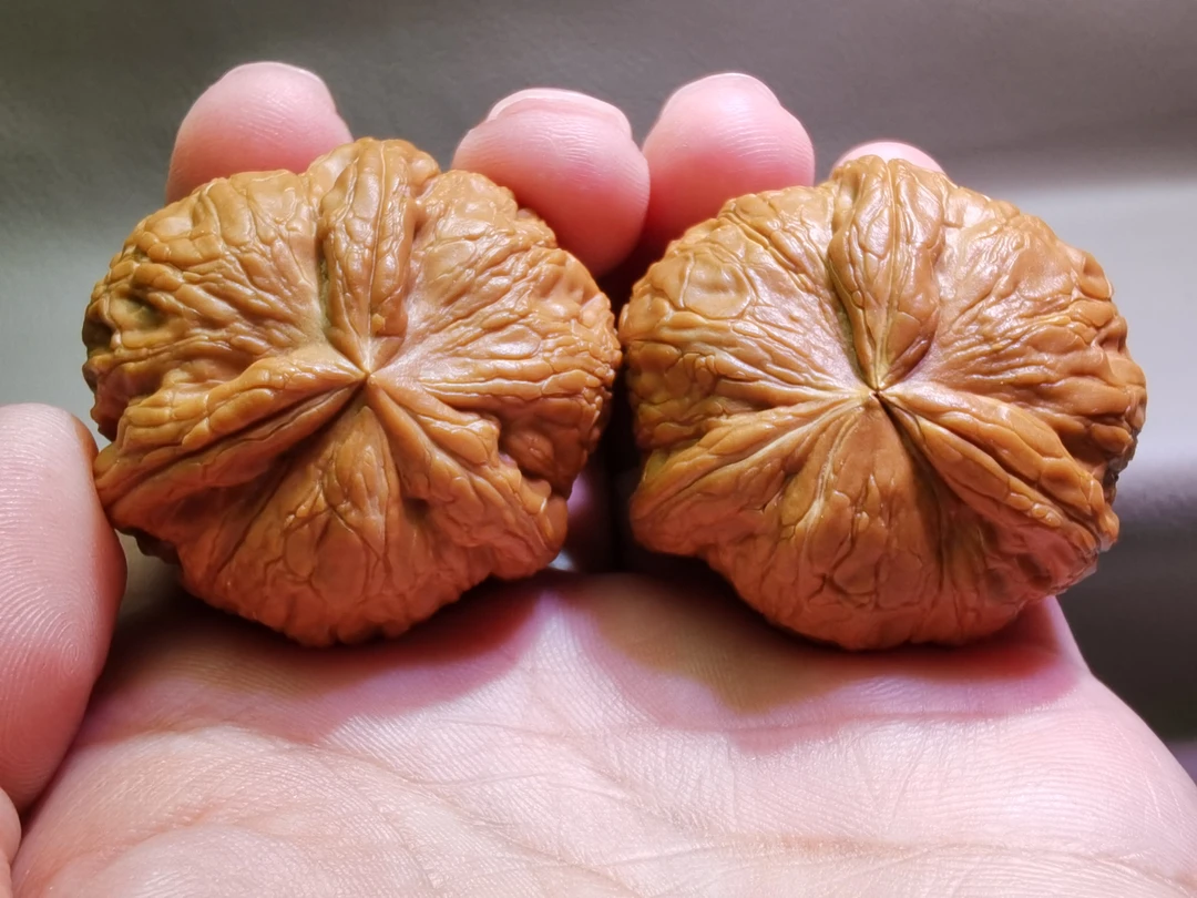 土豪级平谷元宝三棱正奔异形全品男女士盘它是一种享受纯天然核桃