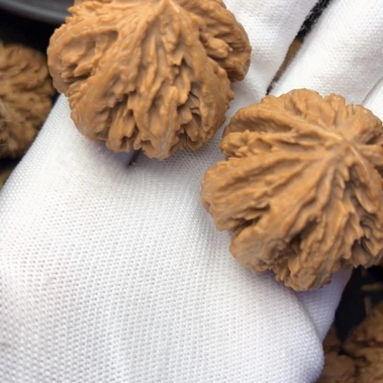 把件文玩核桃秦岭核桃20