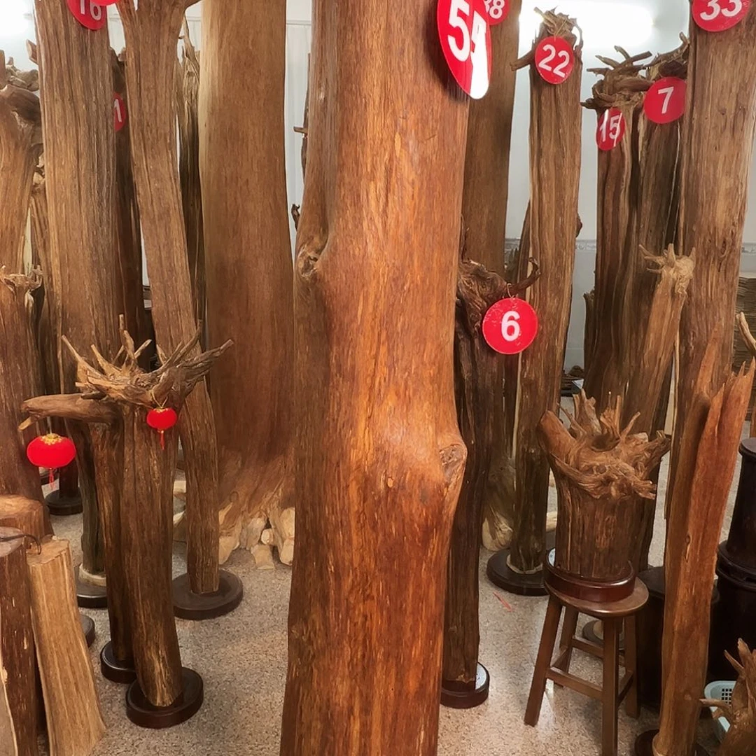 王***盟摆件沉香沉香原料H