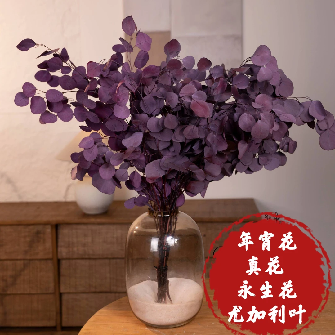 【新疆包邮】年宵花苹果尤加利叶永生保鲜花客厅网红