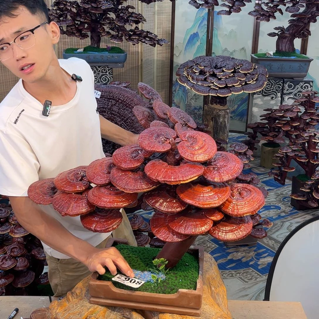 无花朵0888888888888888