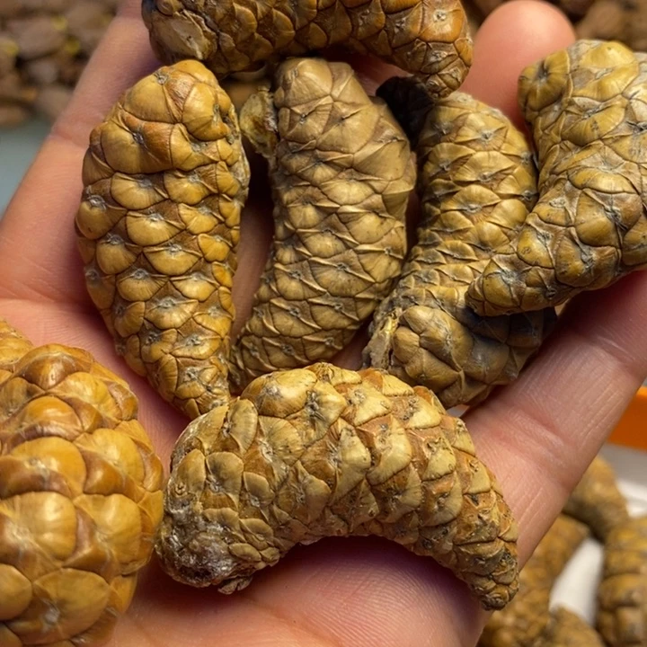 香榧木拿姐工艺流程17