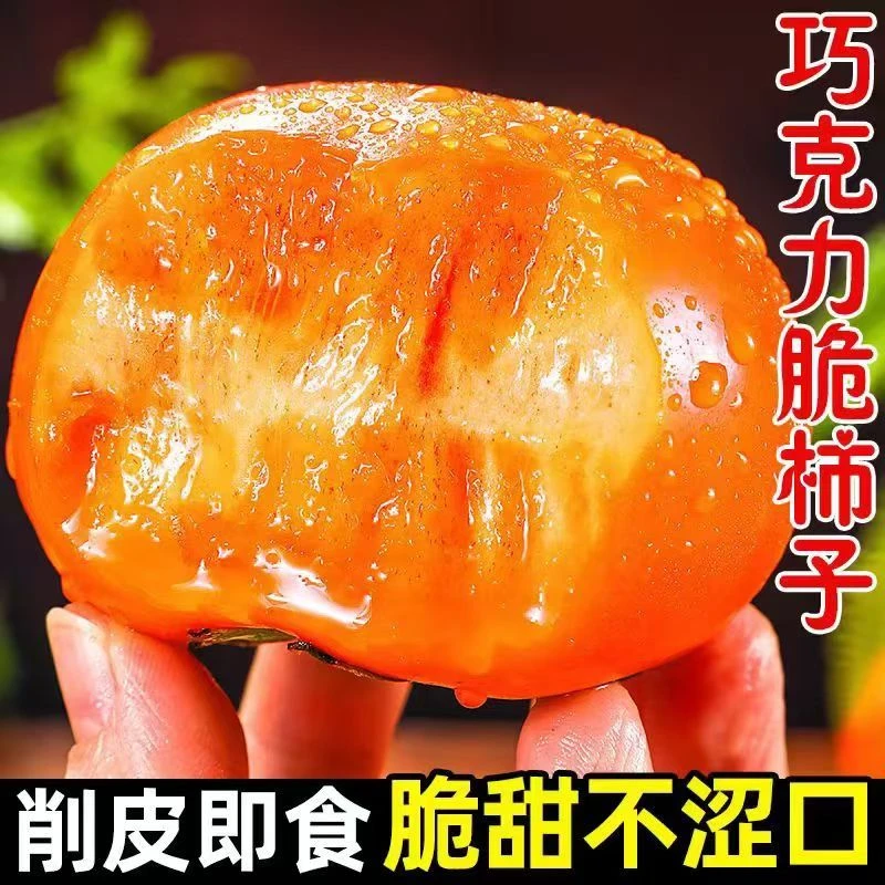 山西巧克力脆柿子无核脆甜不涩整箱当季新鲜水果脆柿