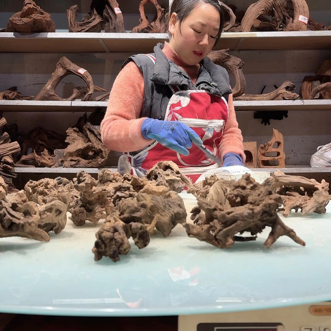 倍诸沉木不包损必褪色开**儿7006玲珑木小货